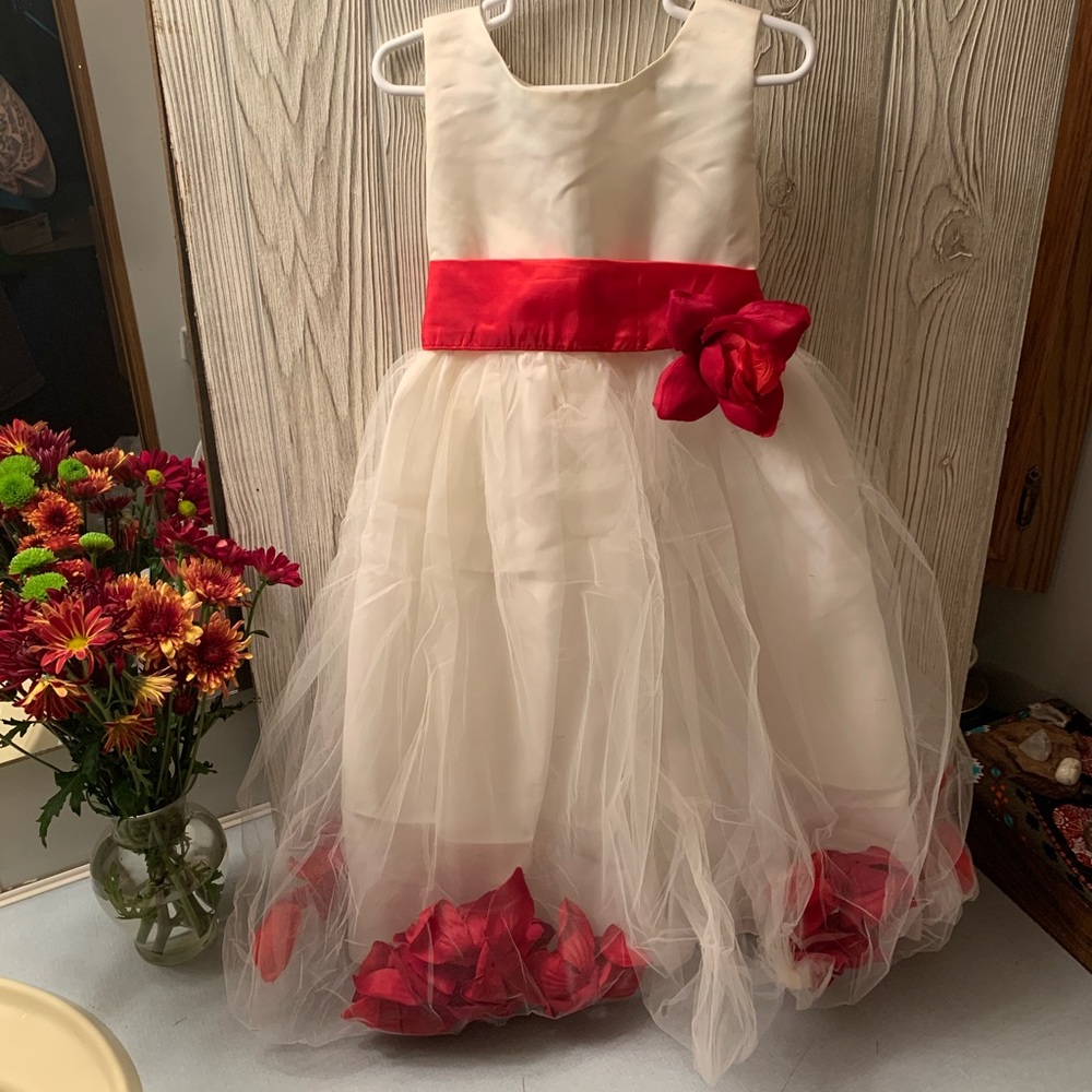 Girls size 4 dress worn once (D022)